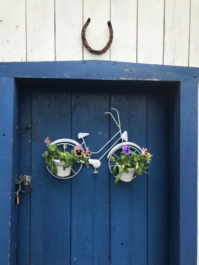 Gite Au Toit Bleu Bed and Breakfast Sainte-Famille Exterior foto